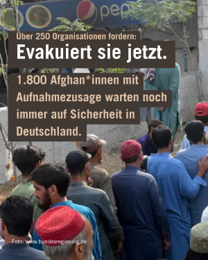 Afghanistan Offener Brief 2025