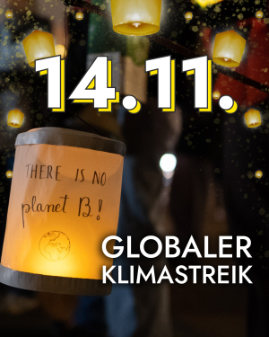 Klimastreik 251114