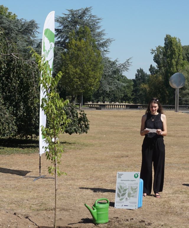 lailah atzenroth muku baum klein